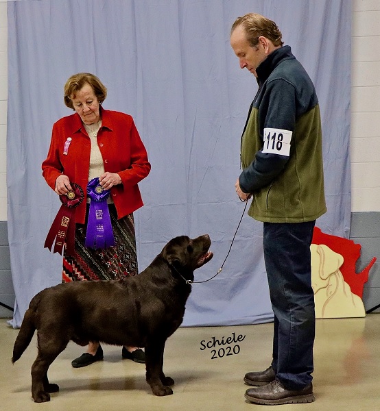 Boomer winning a 5-point major at Badger LRC specialty show